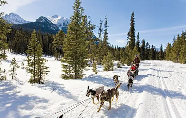 Snap up the savings by booking an early bird holiday to North America now! 20 c55