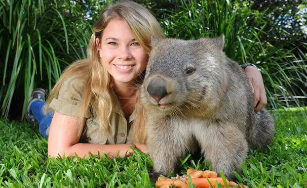 Tues 24 Nov: 10 travel news stories you need to know 36 travel news Bindi