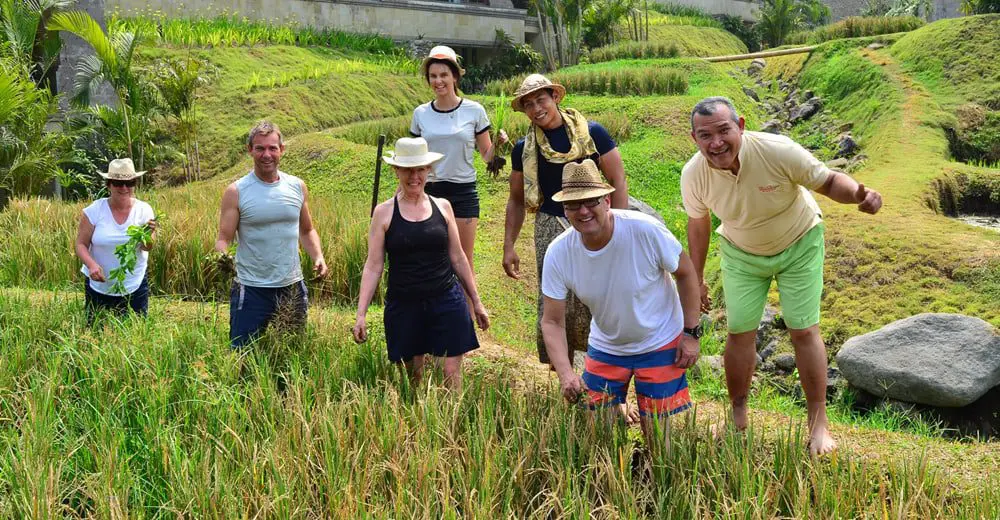 Tues 3 Nov: 10 travel news stories you need to know today 43 travel news Magellan feature