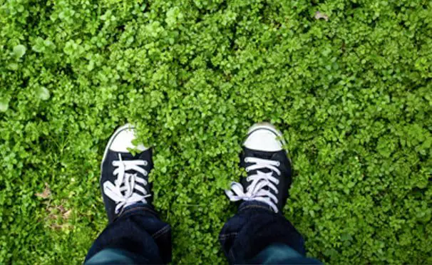 Thurs 5 Nov: 10 travel news stories you need to know today 37 charity STA Travel