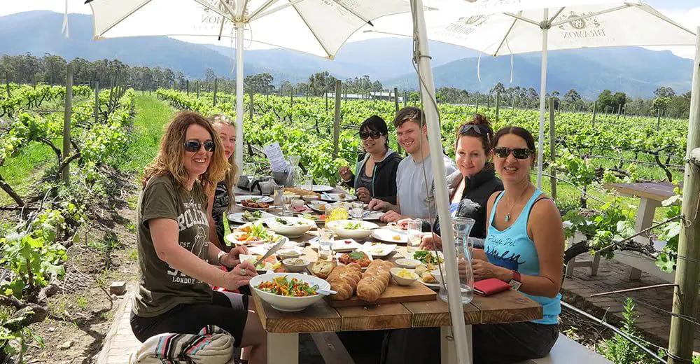 South Africa Specialists treated to 10 day famil