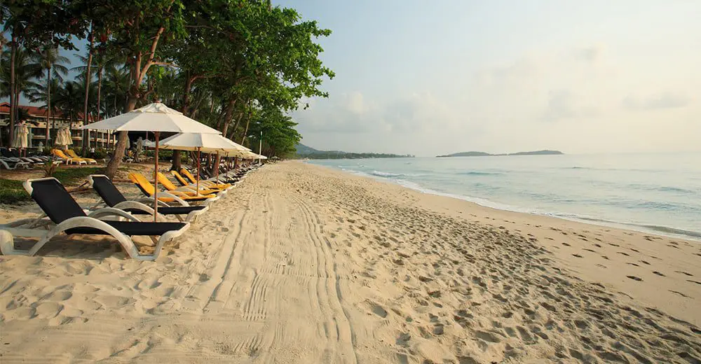 Get your clients more value in Thailand. Become their hero