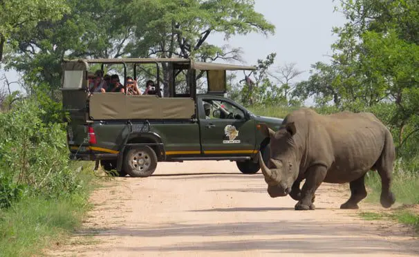 travel news Bench International