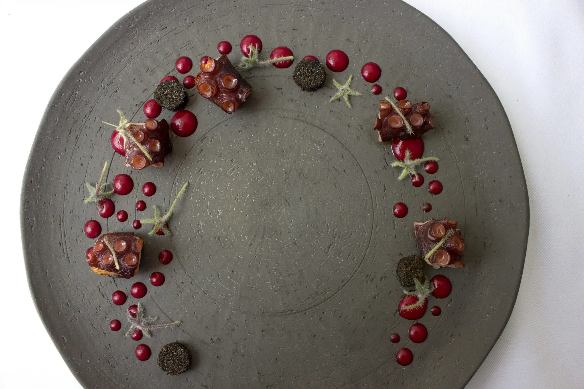 Peruvian food has never tasted better 1 Central Lima, Octopus in the Desert - Pulpo en el Desiero_