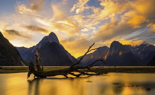 Thurs 3 Dec: 10 travel news stories you need to know today 38 travel news Scenic NZ