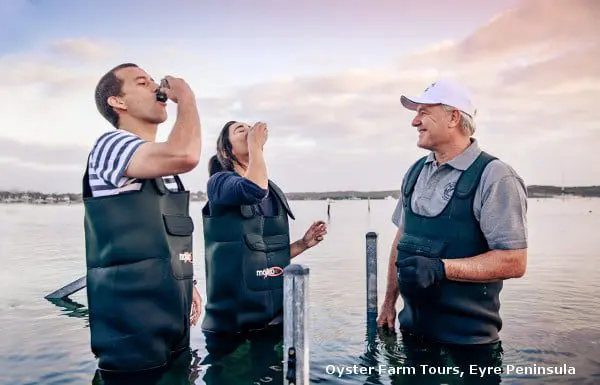 seafood_frontier_600