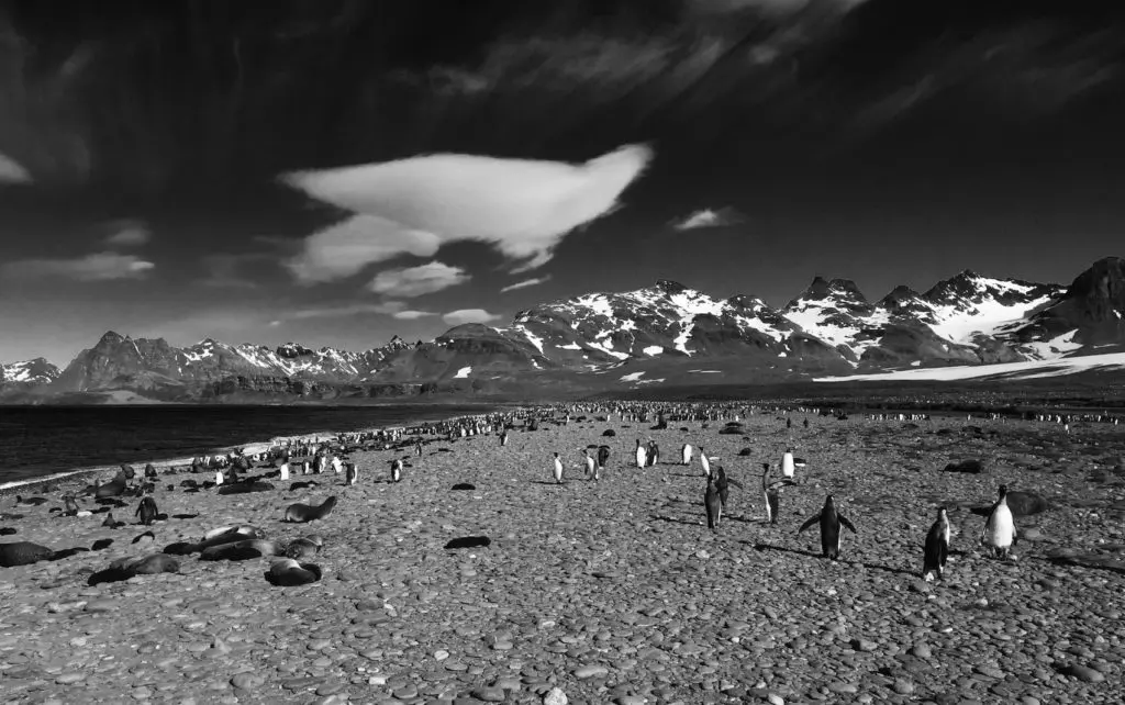 IMG_3757
