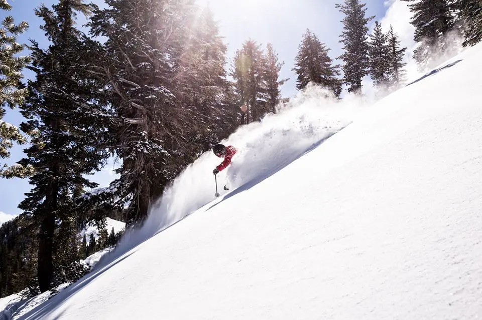 Mon 25 Jan: 10 travel news stories you need to know today 35 travel news Mammoth Pow March 2015_2