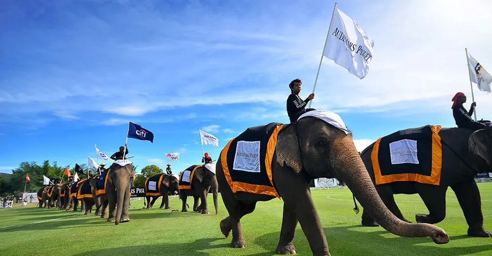 The Annual King’s Cup Elephant Polo Tournament is back