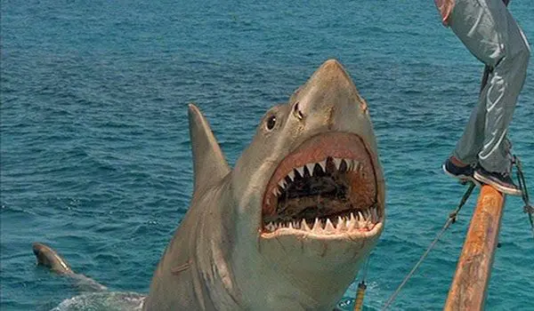 AGENT TIPS: 7 things a Travel Agent can do that a website can't 26 jaws