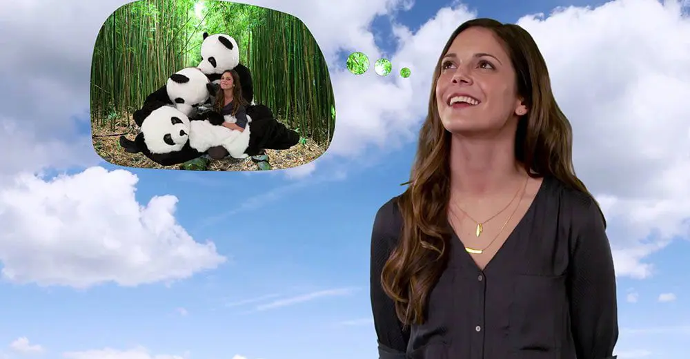 United wants to teach YOUR clients a thing or two...