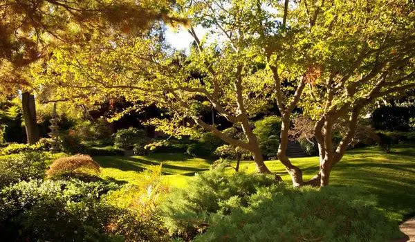 Why you definitely shouldn't visit LA 34 shutterstock 2240125