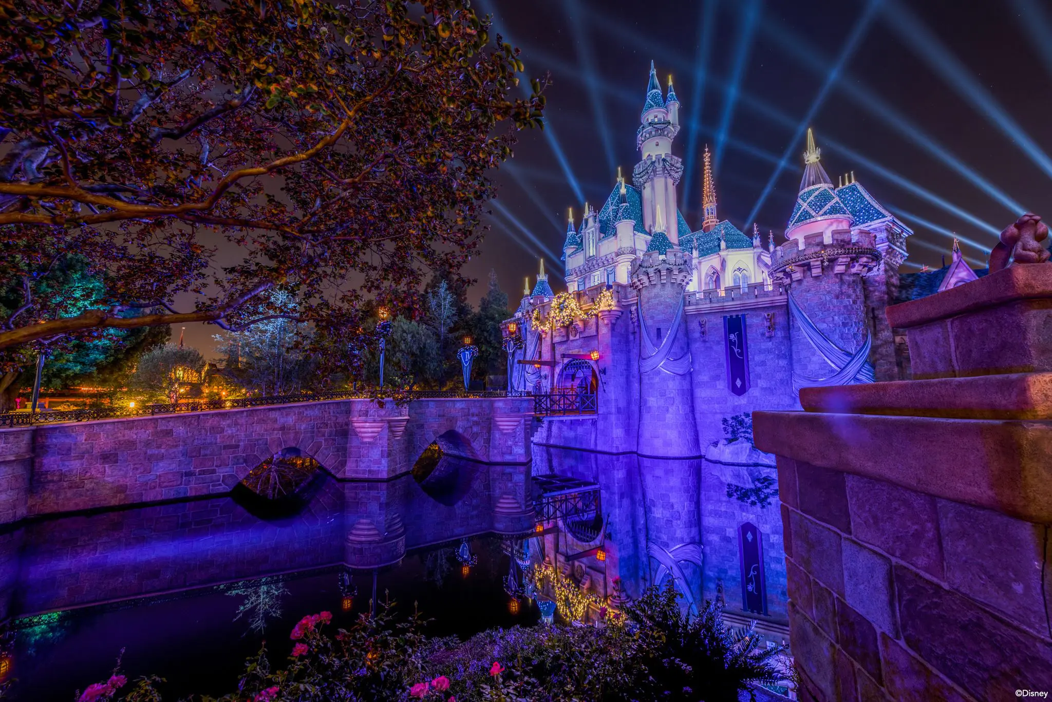 10644633_10153858282325742_7551413378932081644_o