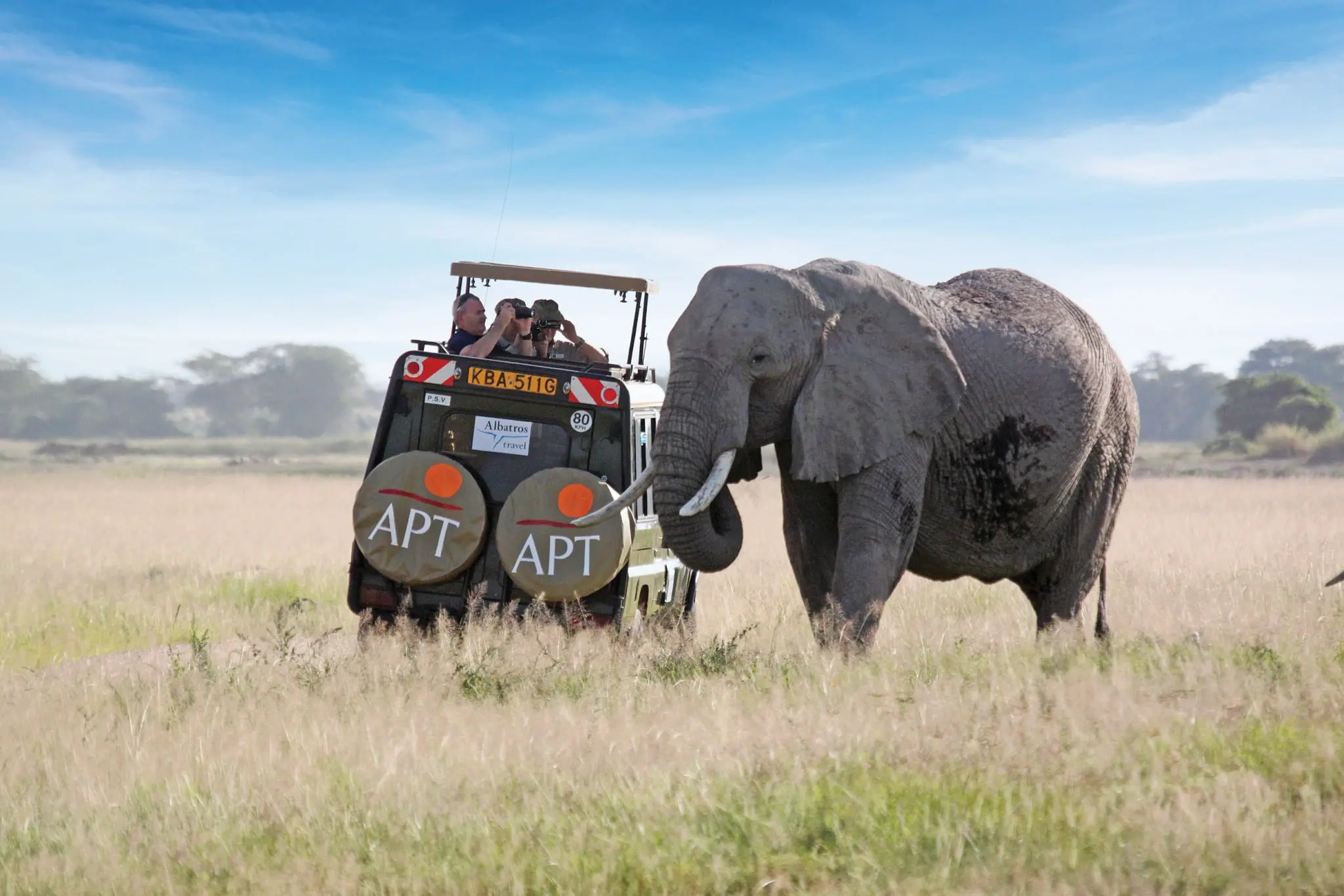 APT Shares 16 of the Best Travel Experiences for 2016 53 2. Africa_Game_Park