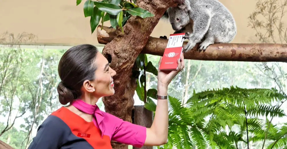 Fri 5 Feb: 10 travel news stories you need to know today 37 Qantas feature