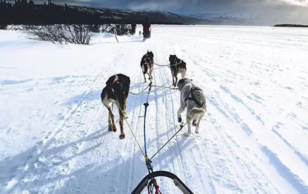 22 new things to see & do around Canada 65 Canada Yukon