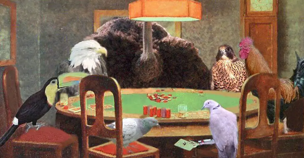 What travel agent bird type are you again?