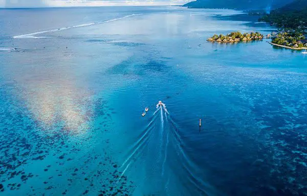 Psst! Just escape to the Cook Islands! 19 cooks4