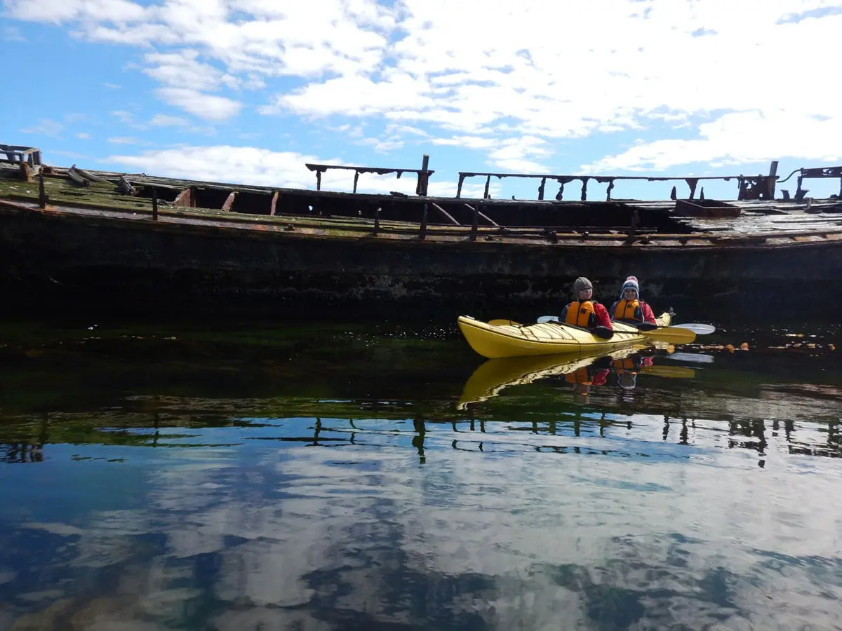 The Falklands – an island fascination 29 falklands10