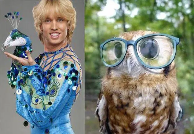 Birds help ‘discover’ your sales potential! 12 post