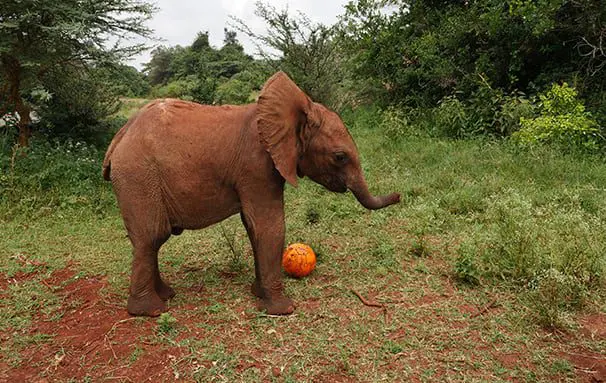 Thurs 17 Mar: 10 travel news stories you need to know today 37 travel news Kenya 2