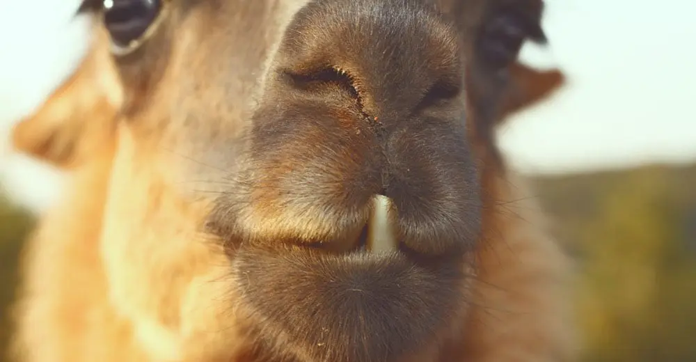 5 best Peruvian spots to post on the 'Gram'