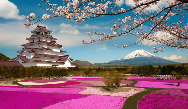 shutterstock_301368422