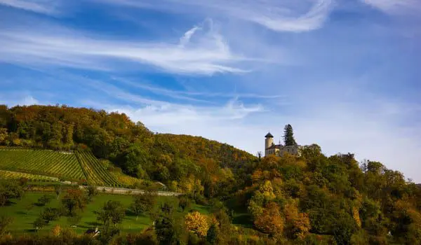 shutterstock_369269420