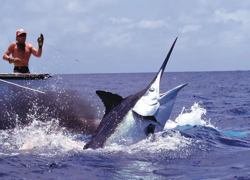 Australia’s Bucket List Experiences 9 Image Source: www.cairnsfishing.com