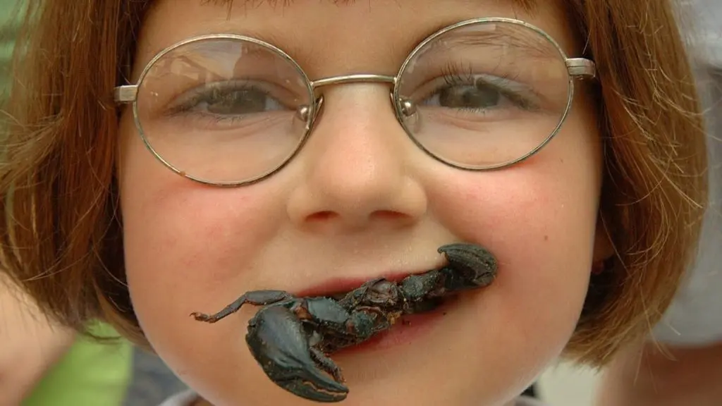 Wacky food festivals around the world