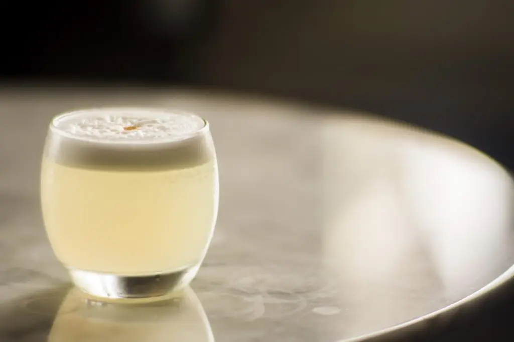 Friday Cocktail: The Pisco Sour 11 DSC_6508