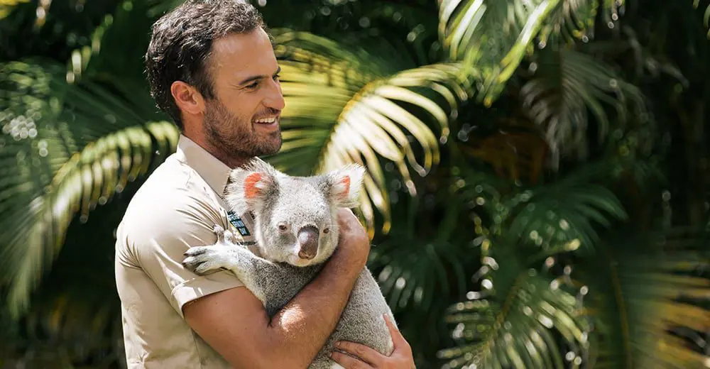 travel news Sunshine Coast