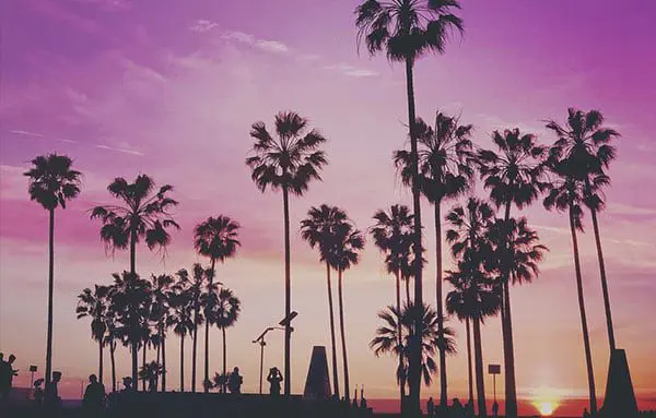 We recently tested the L.A. Insider program, and here's our verdict... 14 los3