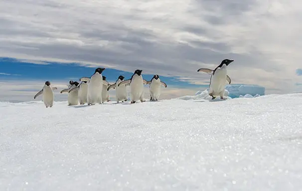 Fri 8 Apr: 10 travel news stories you need to know today 34 travel news polar