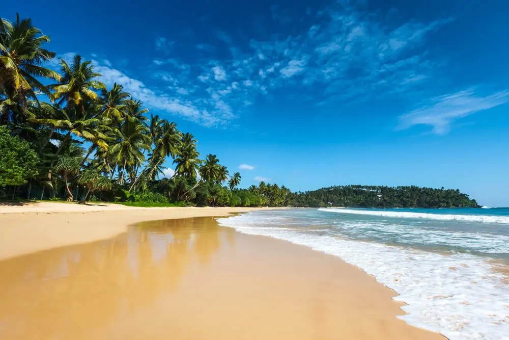 Here’s Why You Should Suggest Sri Lanka Instead of Bali 14 shutterstock_240373141
