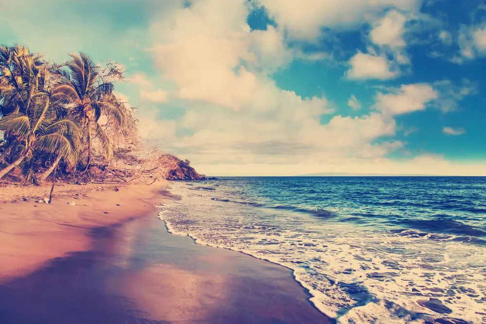 shutterstock_320872676