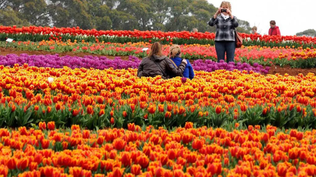 Australia’s Bucket List Experiences