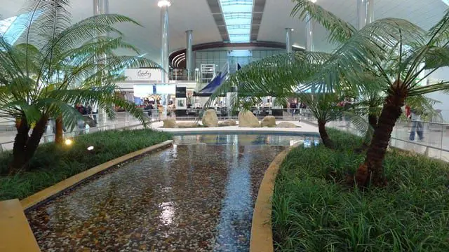DXB zen