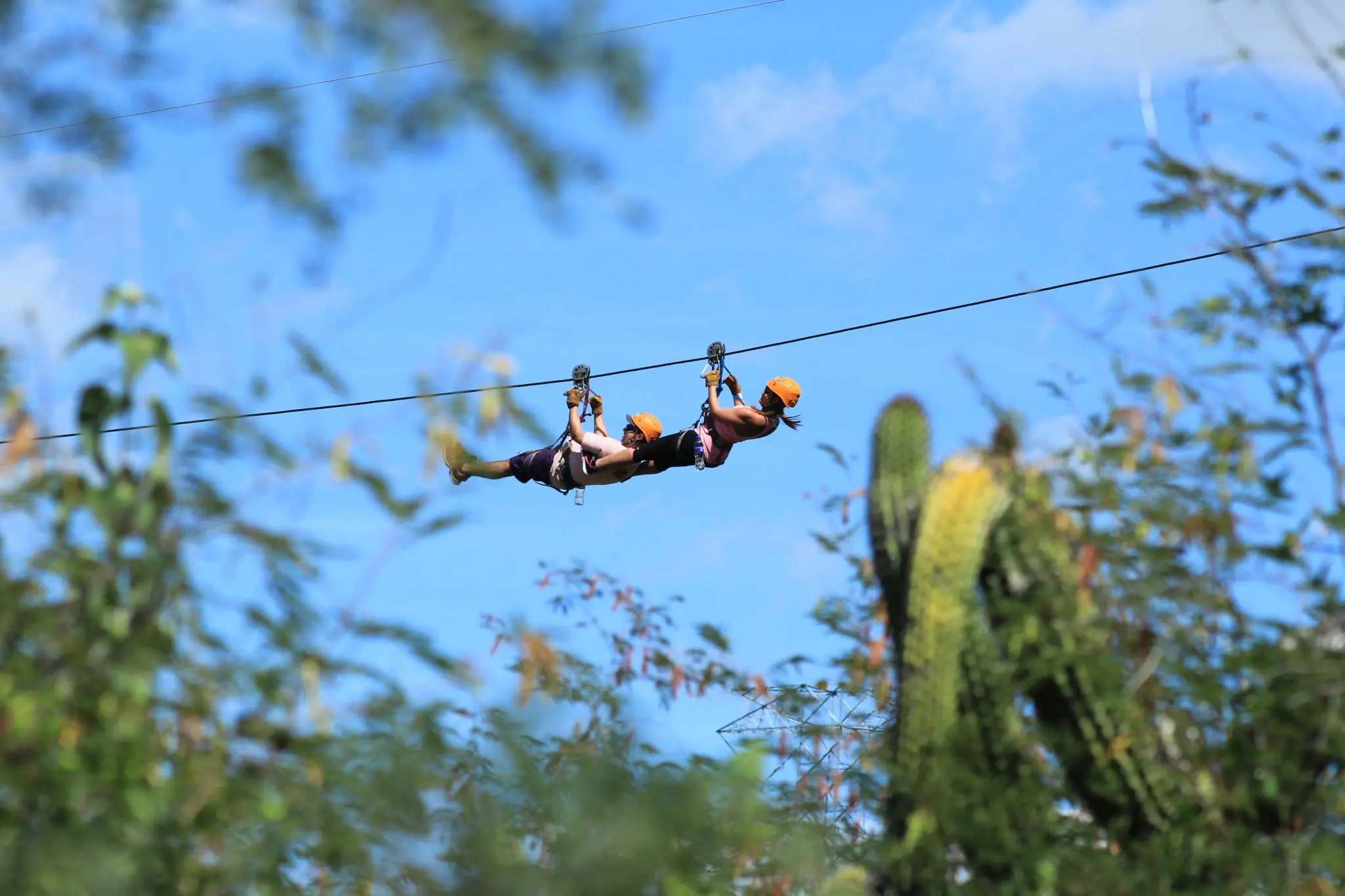 The perfect 24-hour romantic itinerary in Los Cabos 9 Wild Canyon Zip Line