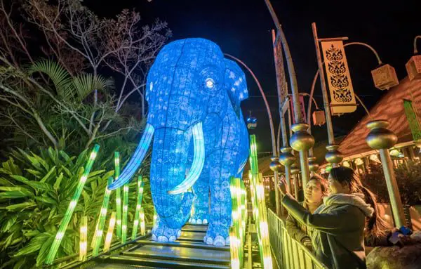 10 images that prove Sydney is the place to be right now 39 elephant