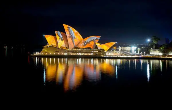 10 images that prove Sydney is the place to be right now 37 indigenous