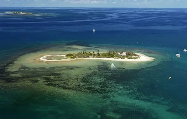 5 myths that were busted at the New Caledonia Rendezvous 2016 45 new