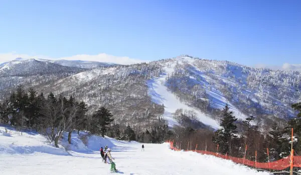 shutterstock_100435744