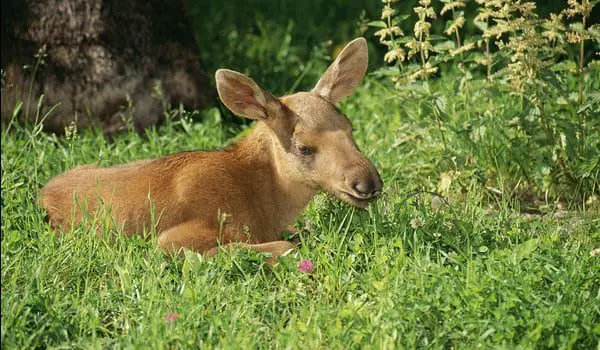 shutterstock_111570623