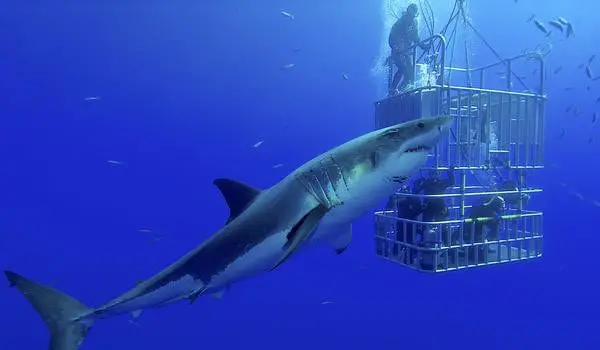 shutterstock_171468455