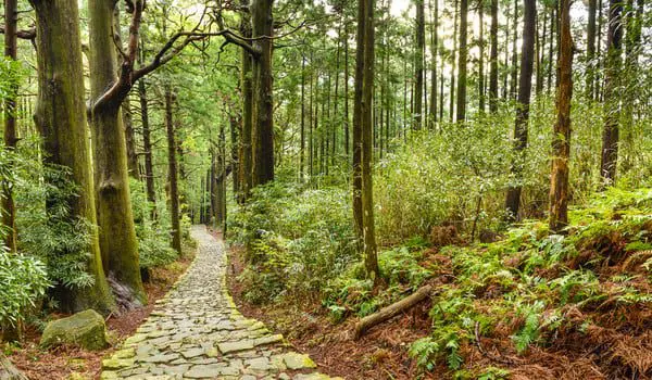 shutterstock_234071617