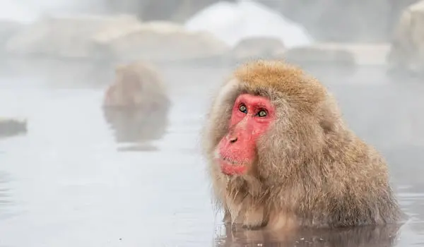 shutterstock_281445602