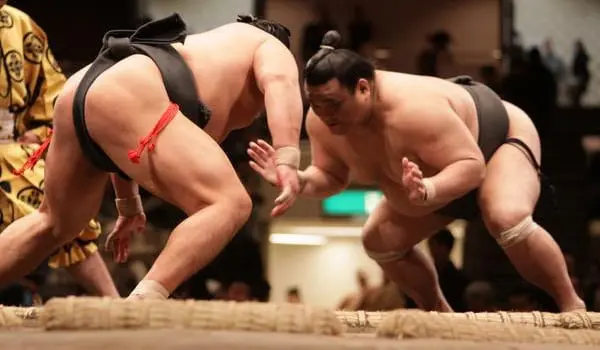 shutterstock_31120027