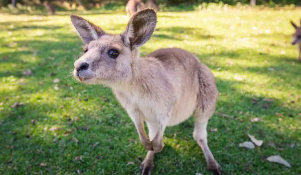 shutterstock_319977368