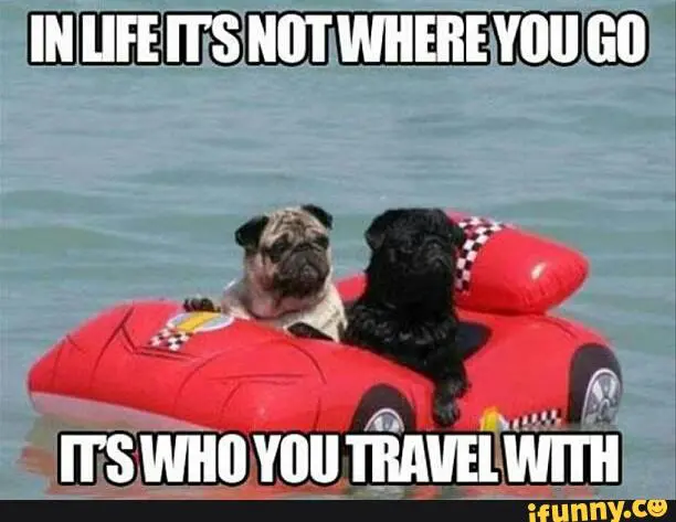 Top 4 Travel Agent memes 15 travel-meme-9-charity-owl